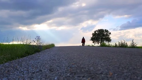 In the spring of agriculture Stock Footage 82534341