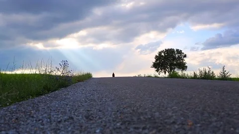 In the spring of agriculture Stock Footage 82534476