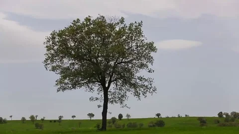 In the spring of agriculture Video stock 82534580