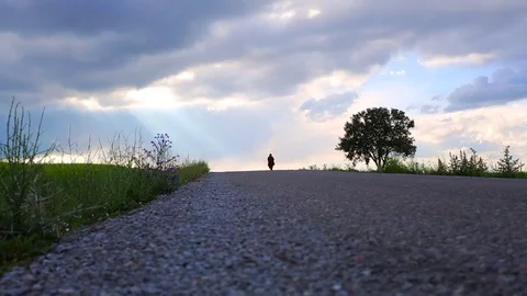 In the spring of agriculture Stock Footage 82534727