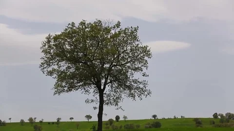 In the spring of agriculture Stock Footage 82534744