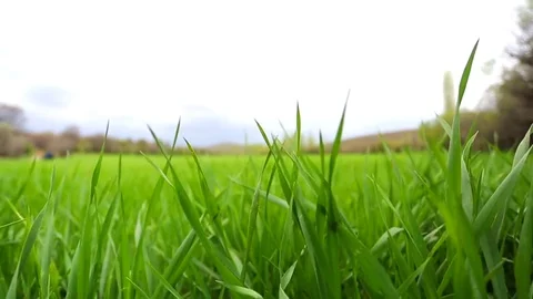 In the spring of agriculture Video stock 82537310