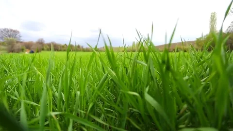 In the spring of agriculture Stock Footage 82537424