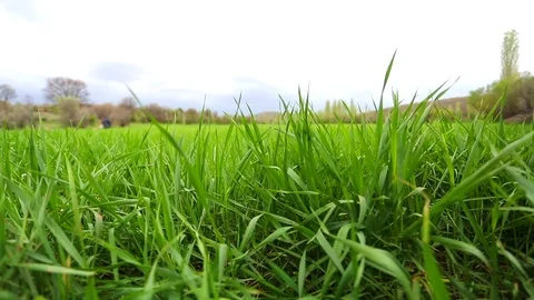 In the spring of agriculture Video stock 82537529