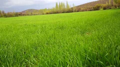 In the spring of agriculture Stock Footage 82537800