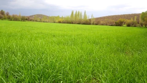 In the spring of agriculture Stock Footage 82537898