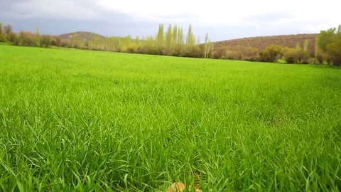 In the spring of agriculture Stock Footage 82537965