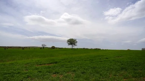 In the spring of agriculture Video stock 82538759