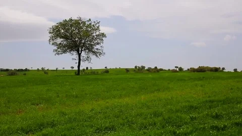 In the spring of agriculture Stock Footage 82538823