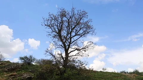 In the spring of agriculture Stock Footage 82539356