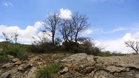 In the spring of agriculture Stock Footage 82539384