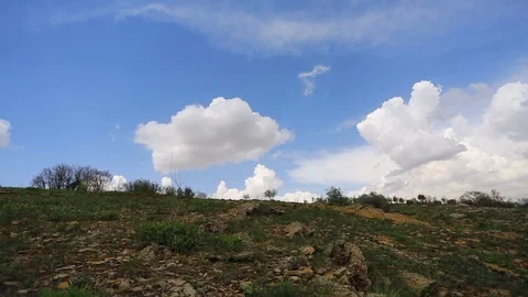 In the spring of agriculture Stock Footage 82539466