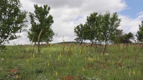 In the spring of agriculture Stock Footage 82539522