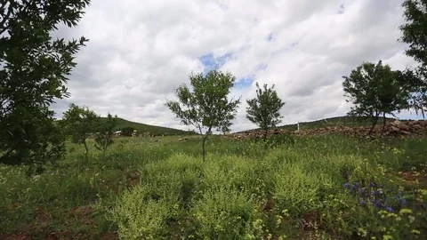 In the spring of agriculture Stock Footage 82539715
