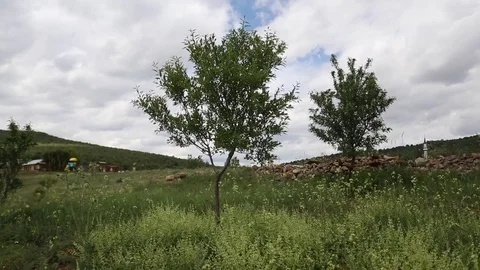 In the spring of agriculture Stock Footage 82539767