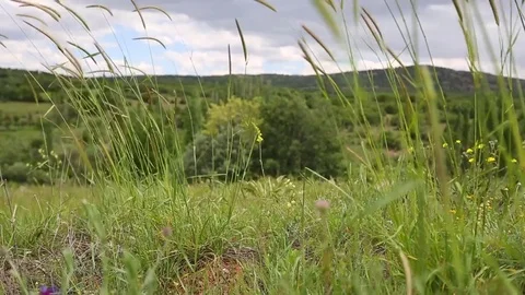 In the spring of agriculture Stock Footage 82539857