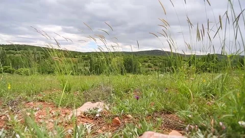 In the spring of agriculture Stock Footage 82539935