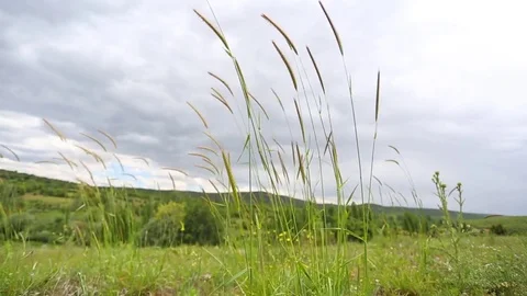 In the spring of agriculture Stock Footage 82539950