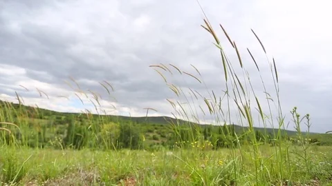 In the spring of agriculture Stock Footage 82540201