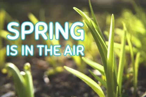 Spring is in the air. Background with large blue letters. Stock Photos