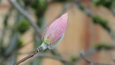 Spring in the air Stock Photos