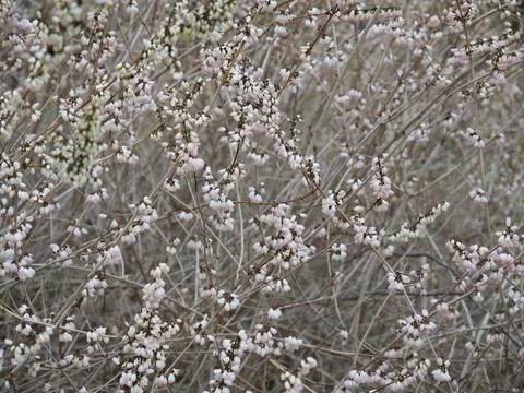 Spring is in the air Foto stock