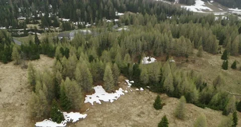 Spring in the Alps, aerial view of forest and meadows in the Dolomites Stock Footage 132124711