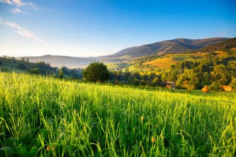 Spring alps landscape Foto stock