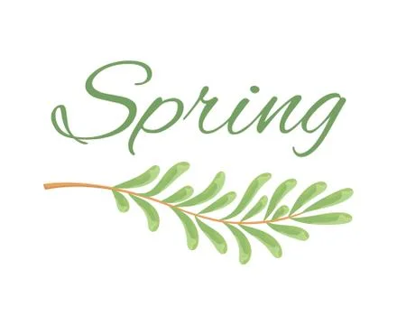 Spring and Branch with Tiny Oblong Leaves Poster Illustrazione stock