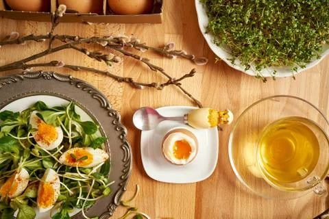 Spring and Easter breakfast with eggs and cress sprouts with tea and sprouts  Stock Photos