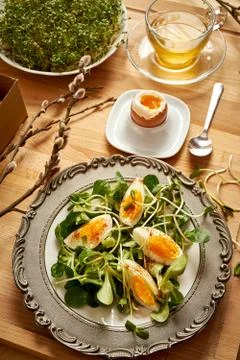 Spring and Easter breakfast with eggs and cress sprouts with tea and sprouts  Stock Photos
