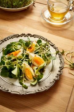 Spring and Easter breakfast with eggs and cress sprouts with tea and sprouts  Stock Photos