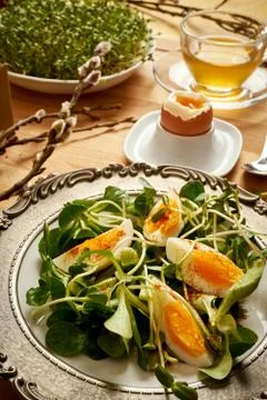 Spring and Easter breakfast with eggs and cress sprouts with tea and sprouts  Stock Photos