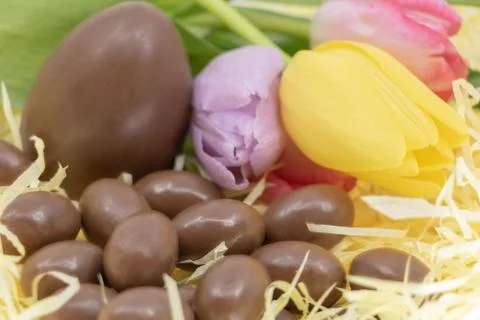 Spring and Easter color with chocolate eggs and tulips Foto stock