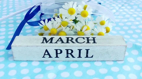 Spring and Easter concept Stock Footage 74482181