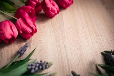 Spring and Easter holiday background with tulips. Stock Photos