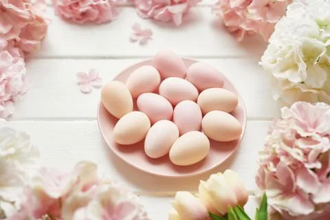 Spring and Easter holiday greeting card concept. Pink and white hydrangeas, y Stock Photos