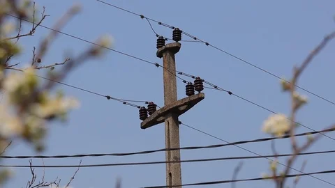 Spring and electric wires Stock Footage 127526721