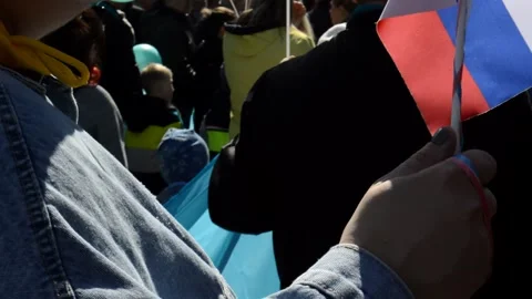 Spring and Labor Day Stock Footage 314201256