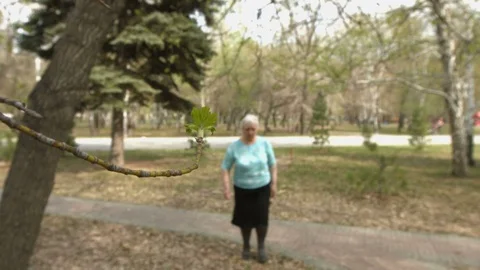 Spring and old age. Slow motion. Stockbeeldmateriaal 75634477