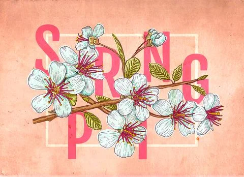 Spring and sakura Stock Illustration