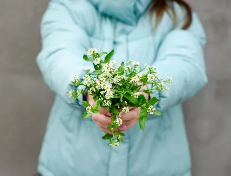 Spring and spring mood. A bouquet of flowers as a gift. Stock Photos