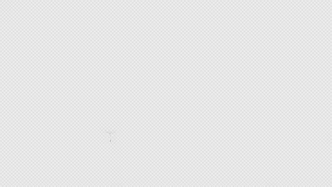 In spring and summer, dandelion seeds fly upwards Stock Footage 150622768