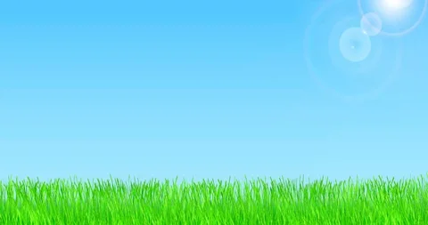 Spring and summer field with brilliant sunshine. Stock Footage 123278980