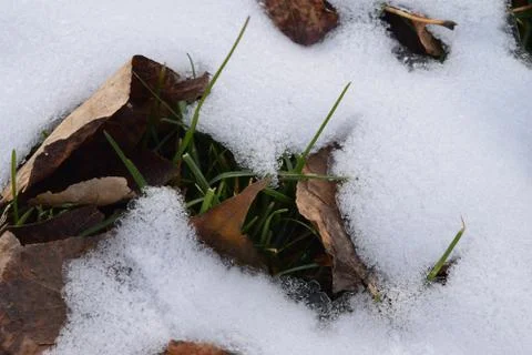 Spring and summer Stockfoto's