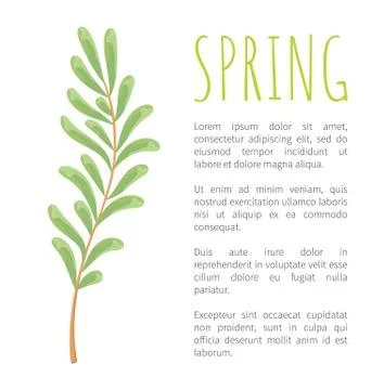 Spring and Twig with Tiny Oblong Leaves Poster Illustrazione stock
