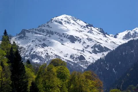 Spring and Winter seasons in the same photo frame. Stock Photos