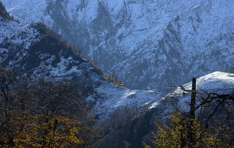 Spring and Winter seasons in the same photo frame. Stock-Fotos