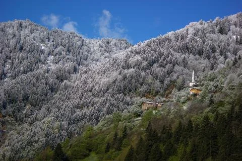 Spring and Winter seasons in the same photo frame. Stock Photos