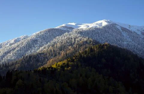 Spring and Winter seasons in the same photo frame. Stock Photos